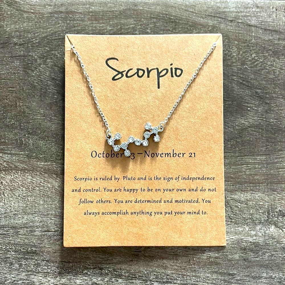 SCORPIO constellation necklace 💫